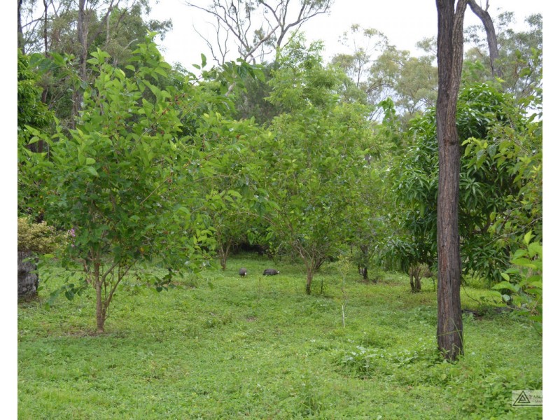 Millstream QLD 4888