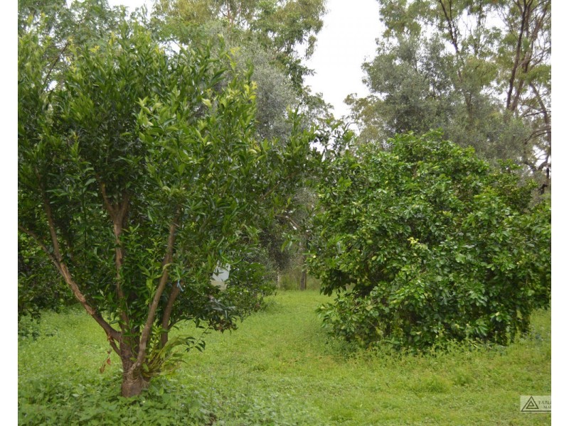Millstream QLD 4888