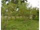 Millstream QLD 4888