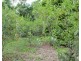 Millstream QLD 4888