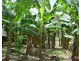 Millstream QLD 4888