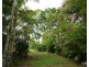Millaa Millaa QLD 4886