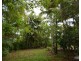 Millaa Millaa QLD 4886