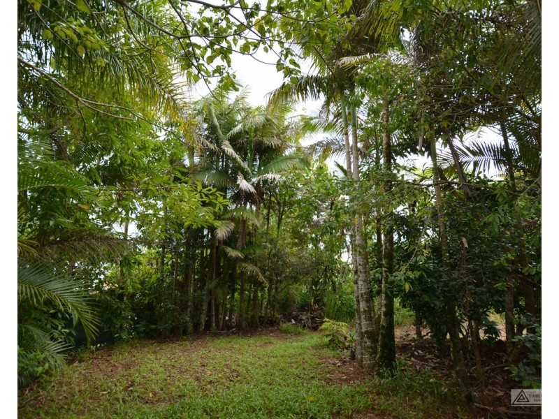 Millaa Millaa QLD 4886