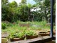 Millaa Millaa QLD 4886