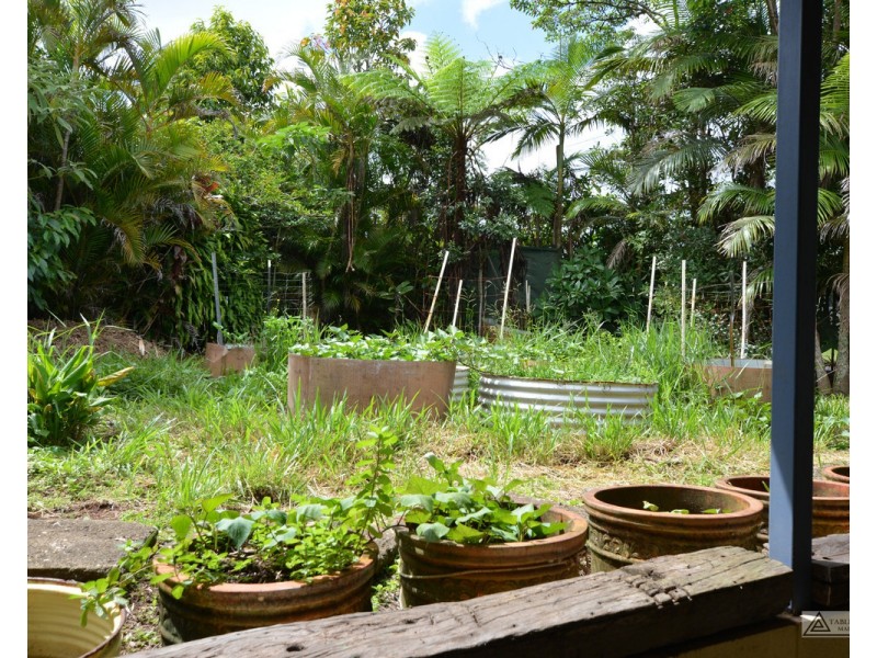 Millaa Millaa QLD 4886