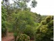 Ravenshoe QLD 4888