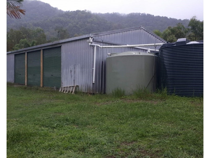 Ingham QLD 4850