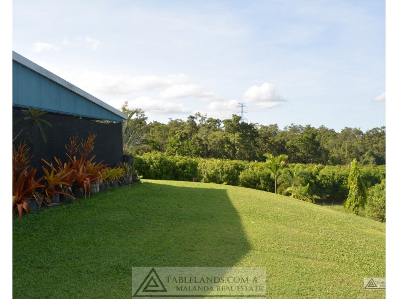 Ingham QLD 4850