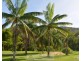 Ingham QLD 4850