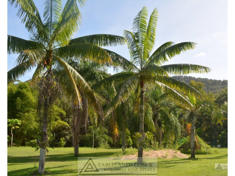 Ingham QLD 4850