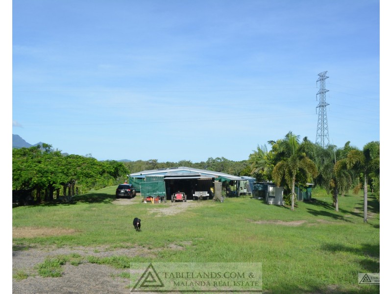 Ingham QLD 4850
