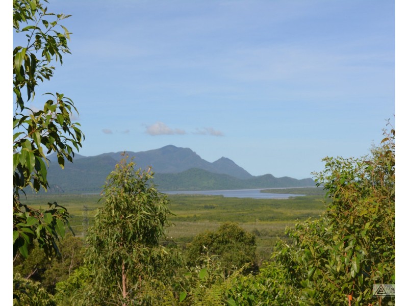 Ingham QLD 4850