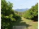 Ingham QLD 4850