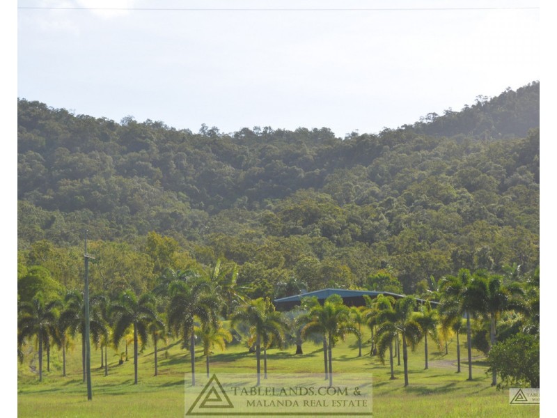 Ingham QLD 4850