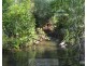 Ingham QLD 4850
