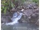 Ingham QLD 4850