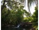 Ingham QLD 4850