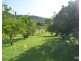 Ingham QLD 4850