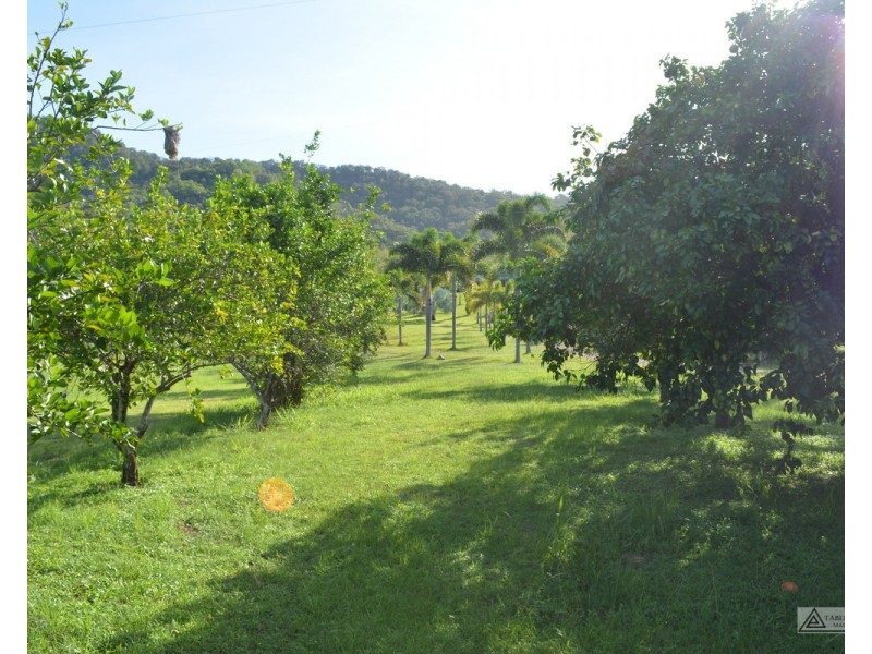 Ingham QLD 4850