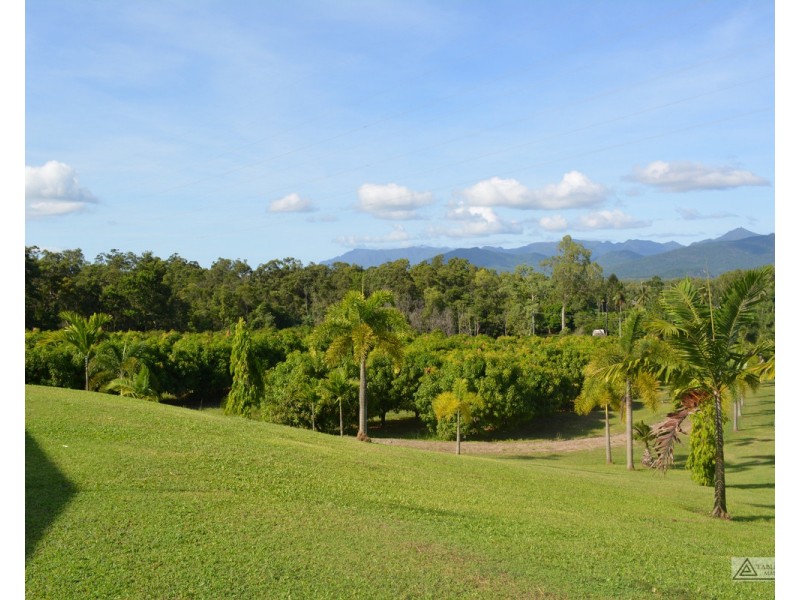 Ingham QLD 4850