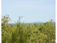 Ingham QLD 4850