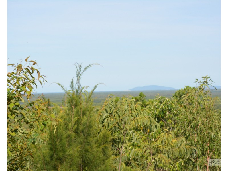 Ingham QLD 4850