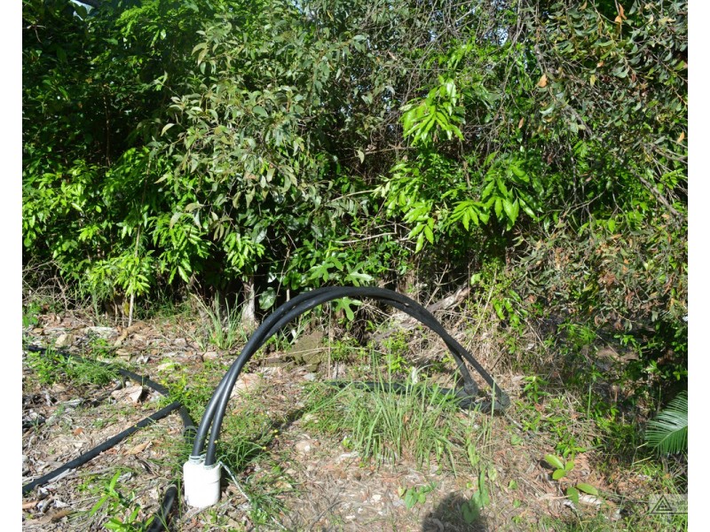 Ingham QLD 4850