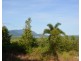 Ingham QLD 4850
