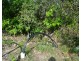 Ingham QLD 4850