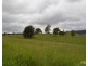 Millaa Millaa QLD 4886