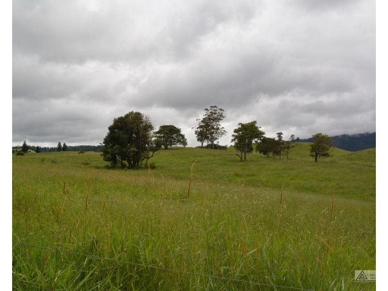Millaa Millaa QLD 4886