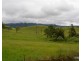 Millaa Millaa QLD 4886