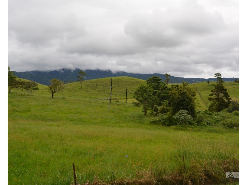 Millaa Millaa QLD 4886