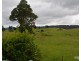 Millaa Millaa QLD 4886