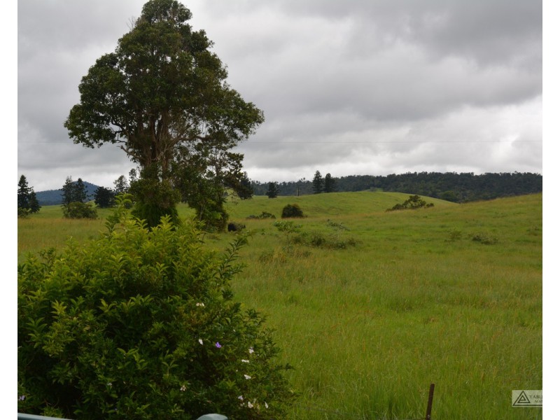 Millaa Millaa QLD 4886