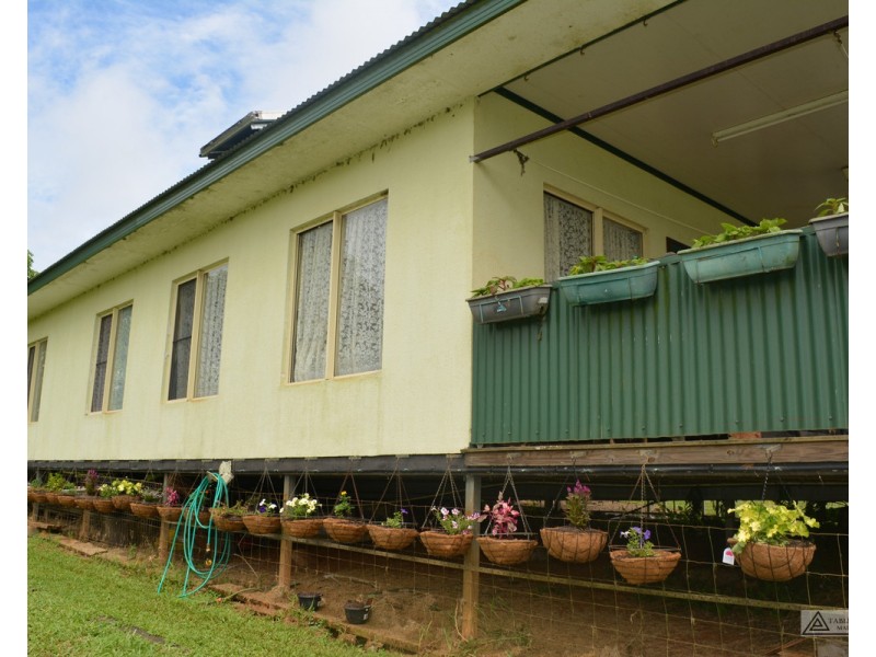 Millaa Millaa QLD 4886