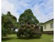 Millaa Millaa QLD 4886