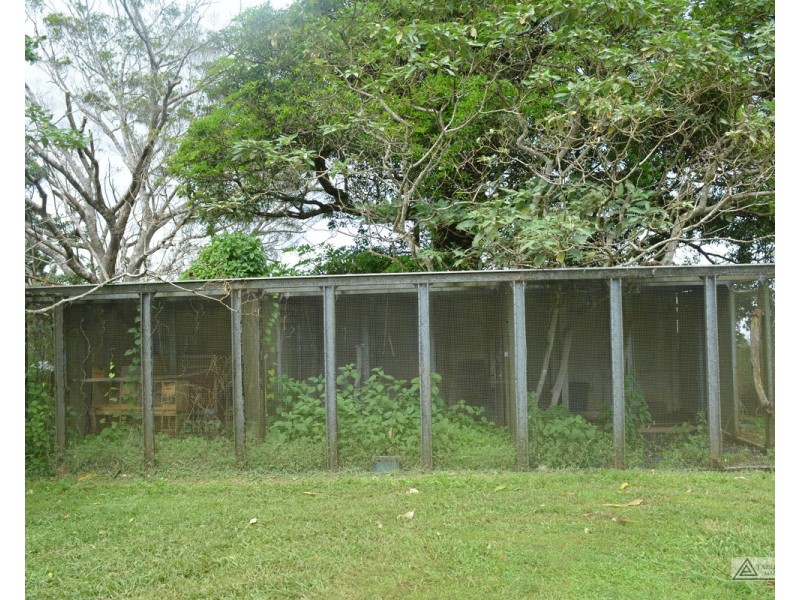 Millaa Millaa QLD 4886