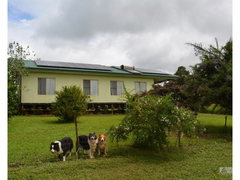 Millaa Millaa QLD 4886