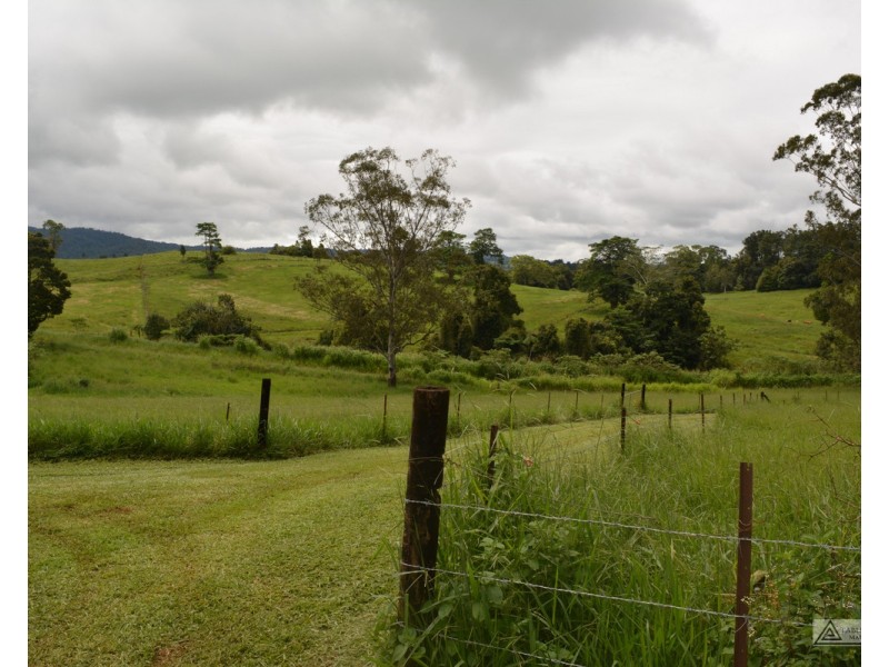 Millaa Millaa QLD 4886