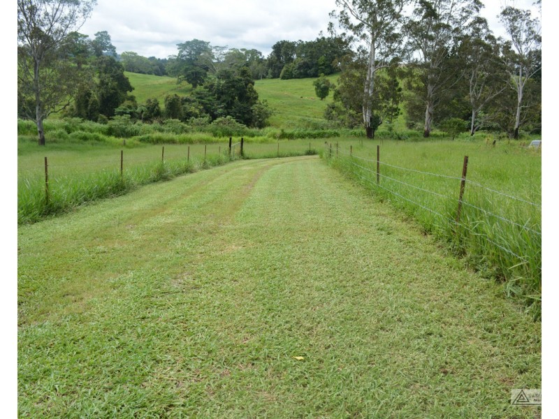 Millaa Millaa QLD 4886