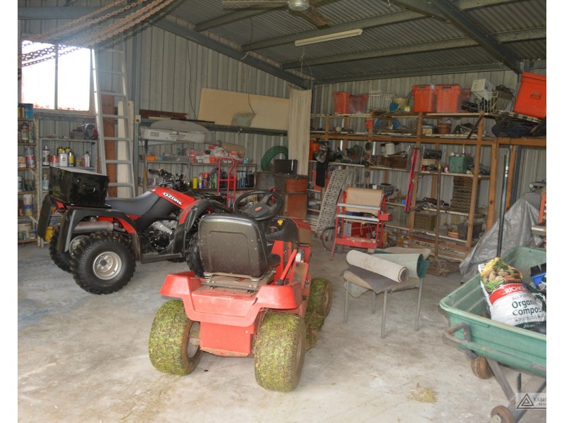 Millaa Millaa QLD 4886