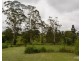 Millaa Millaa QLD 4886