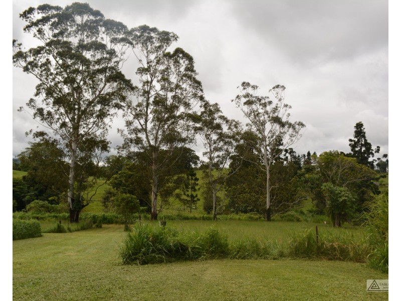 Millaa Millaa QLD 4886