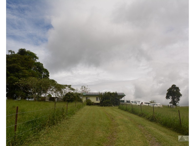 Millaa Millaa QLD 4886