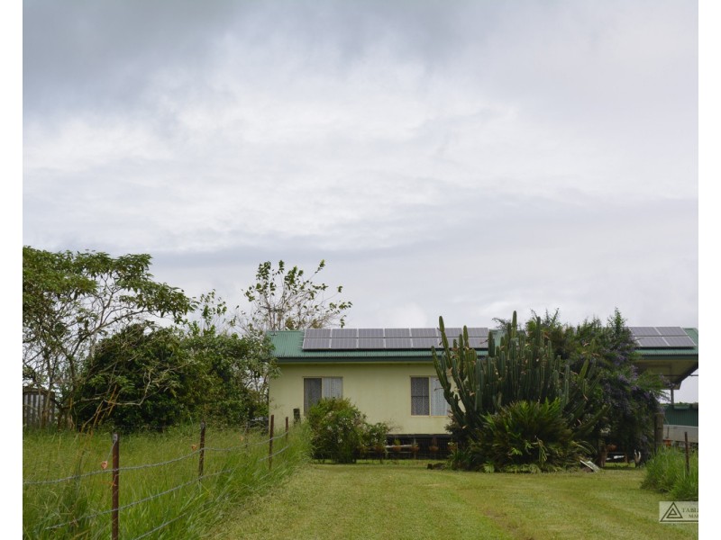 Millaa Millaa QLD 4886