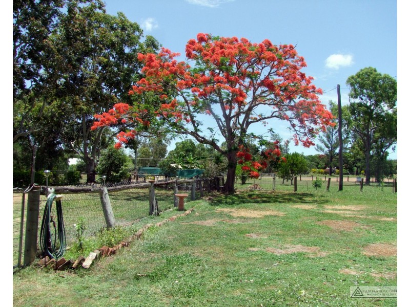 Mount Garnet QLD 4872