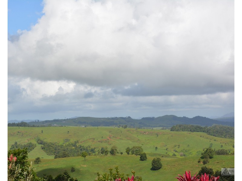 Millaa Millaa QLD 4886