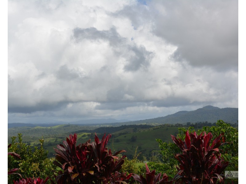 Millaa Millaa QLD 4886